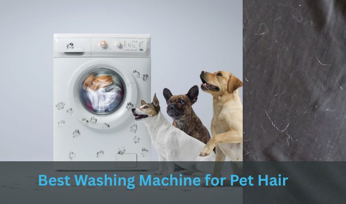 Best Washing Machine for Pet Hair