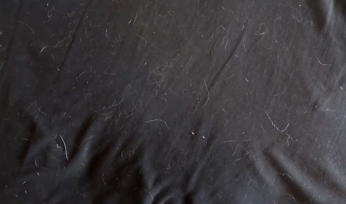 Top Washing Machine for Pet Hair